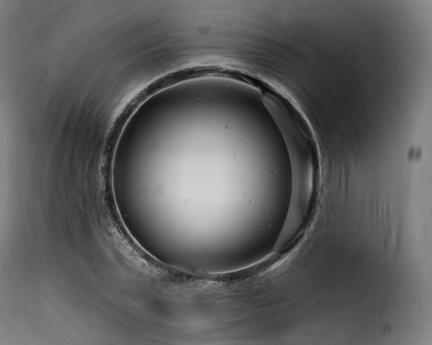X0000116160783200911231404