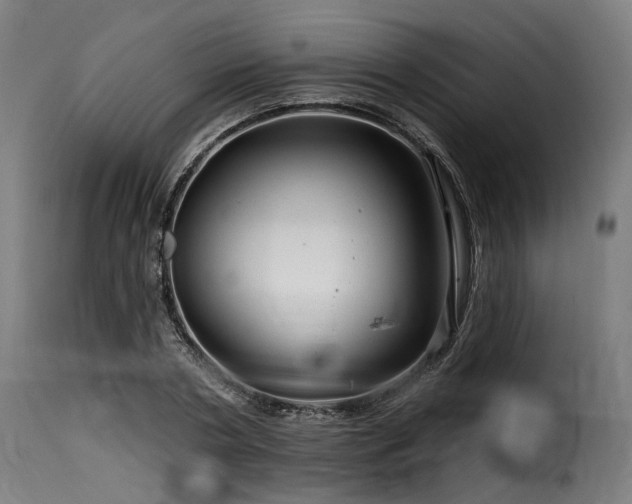 X0000116160786200911231404