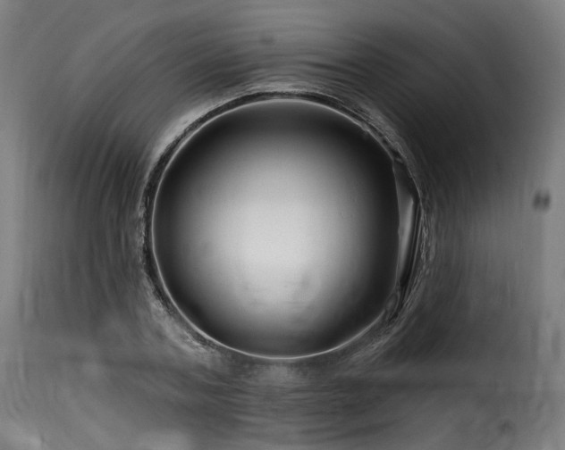 X0000116160787200911231404