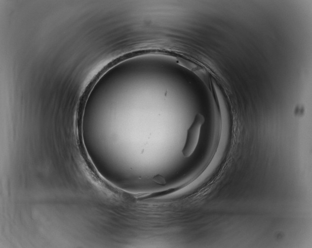 X0000116160788200911231404