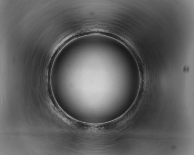 X0000116160790200911231403