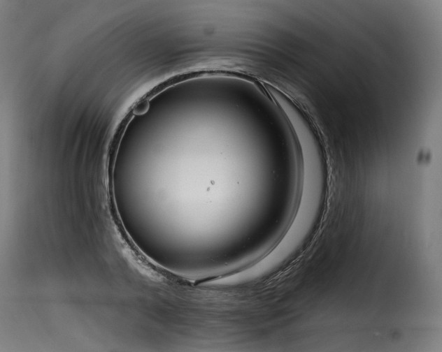 X0000116160792200911231403