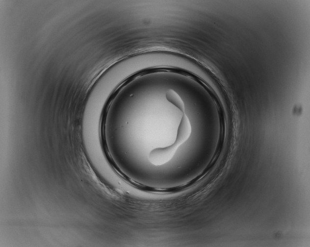 X0000116160793200911231403