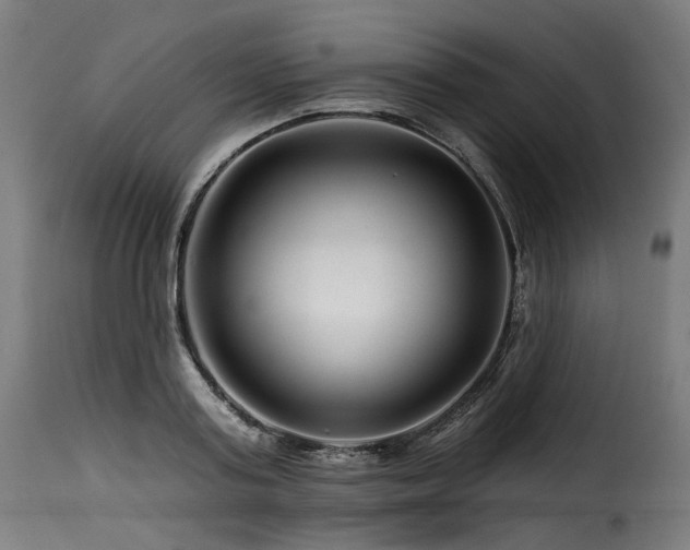 X0000116160795200911231403
