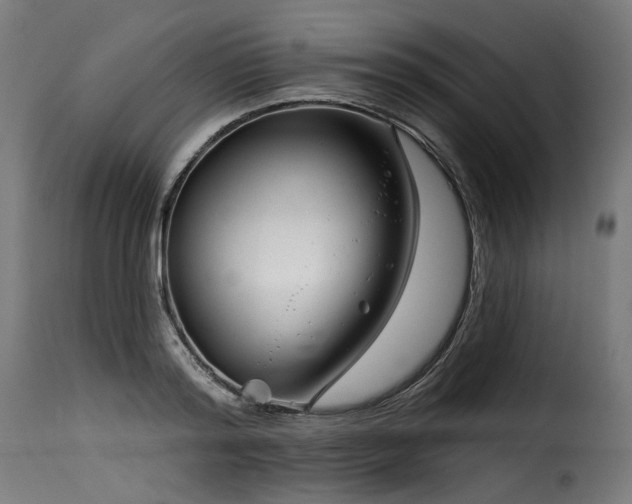 X0000116160796200911231403