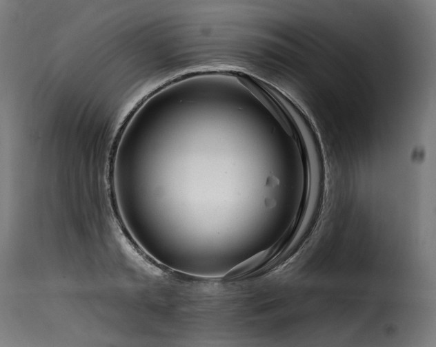 X0000116160797200911231403