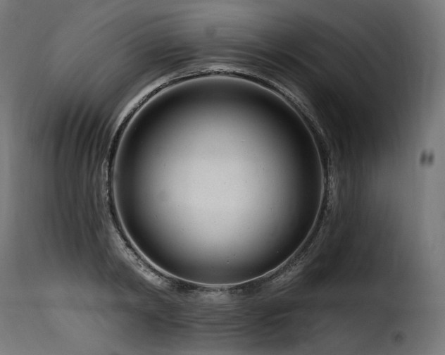 X0000116160798200911231403