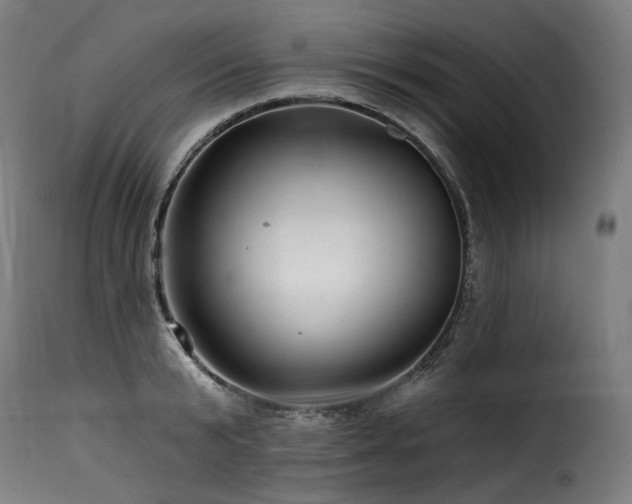 X0000116160799200911231403