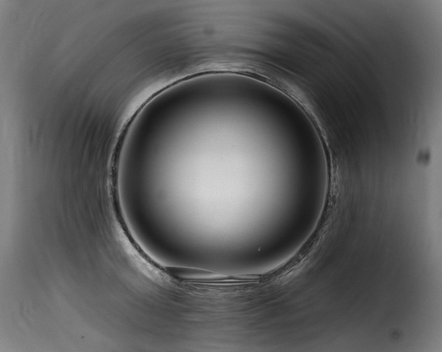 X0000116160803200911231403