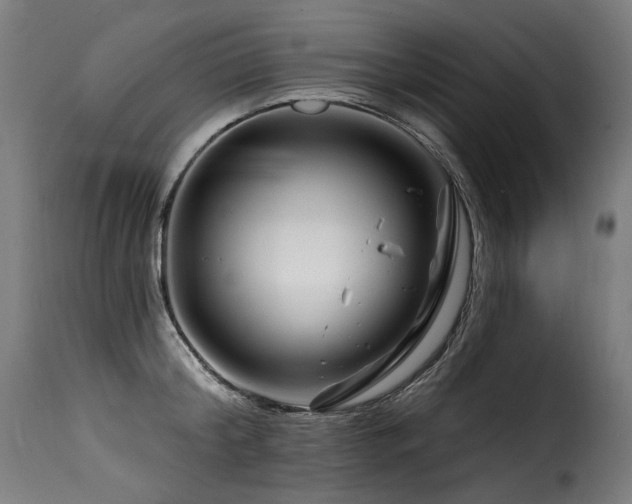 X0000116160804200911231403