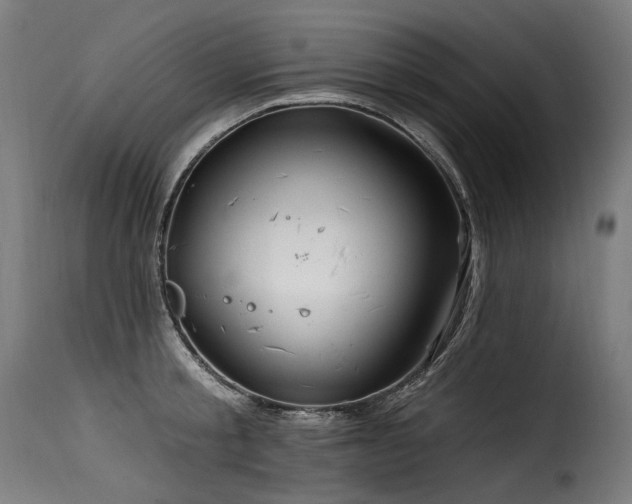 X0000116160805200911231403