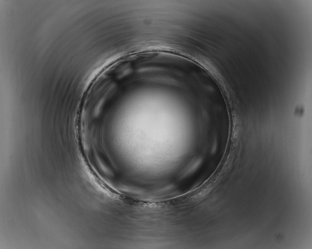 X0000116160806200911231403