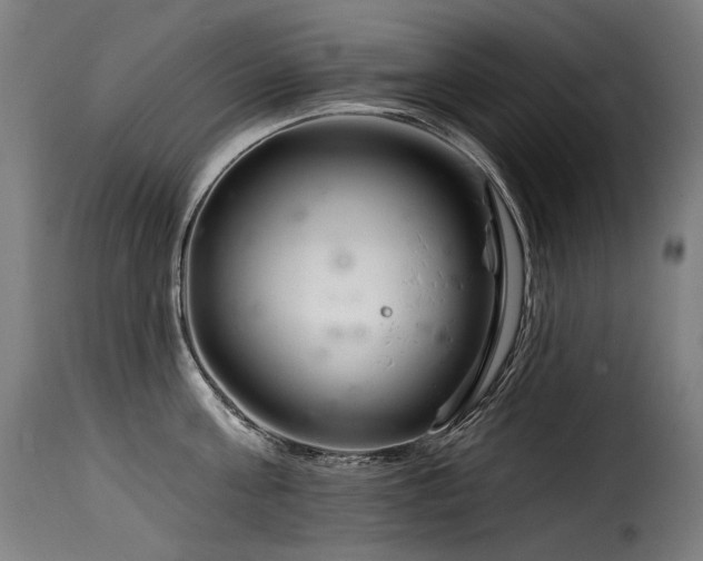 X0000116160811200911231403