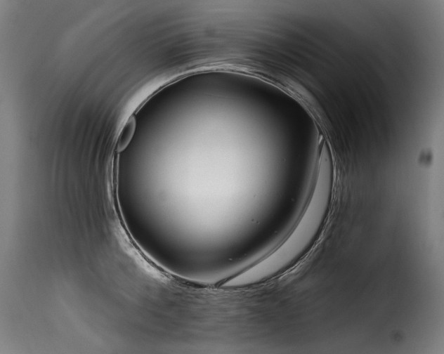 X0000116160812200911231403