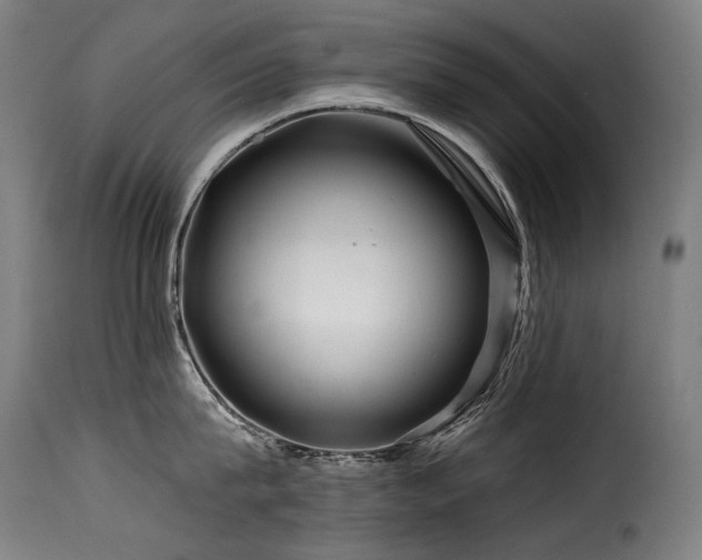 X0000116160815200911231403