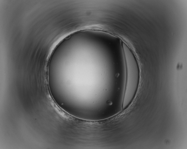 X0000116160816200911231403