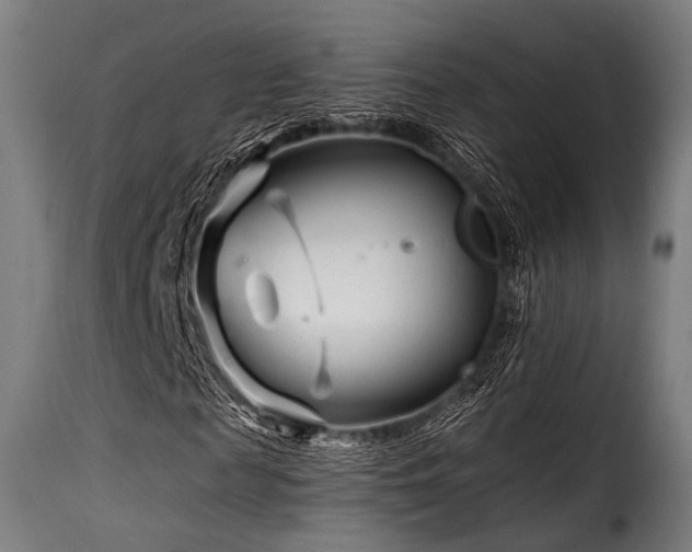 X0000116160817200911231402