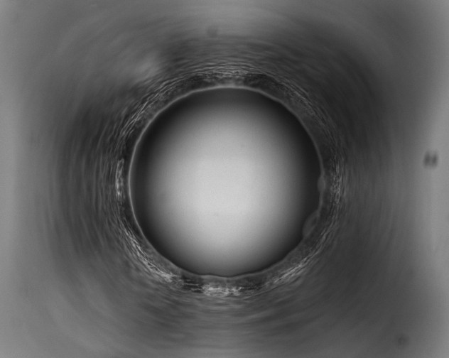 X0000116160818200911231402