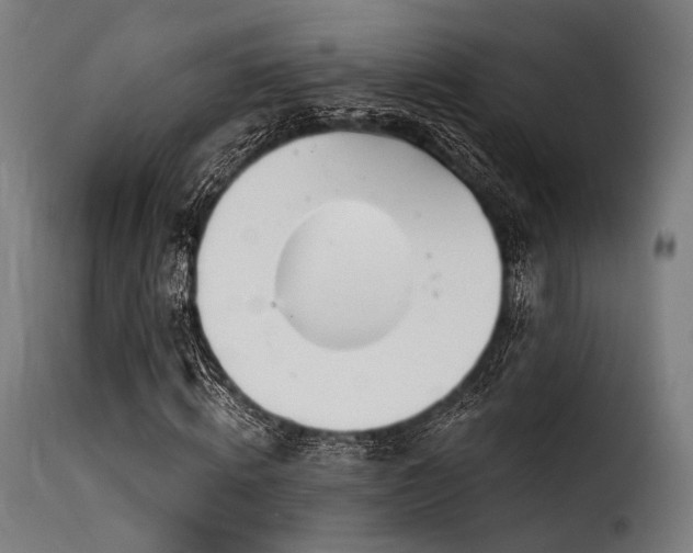 X0000116160820200911231402
