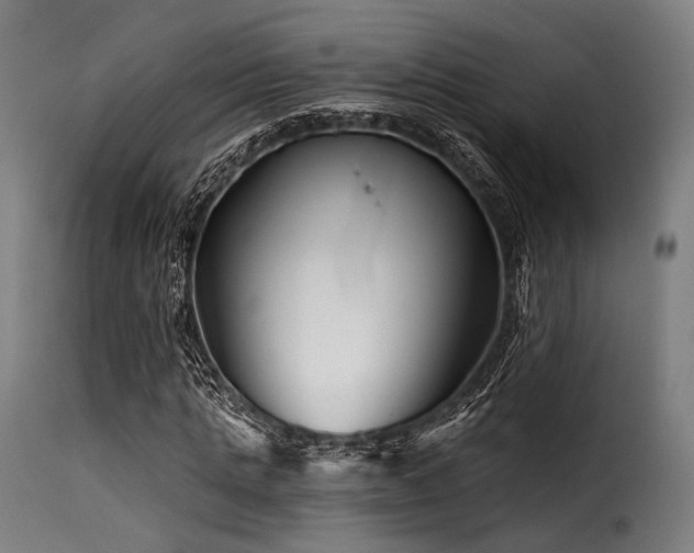 X0000116160821200911231402