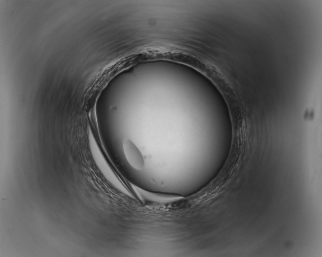 X0000116160822200911231402