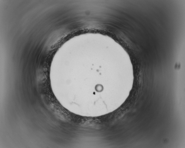 X0000116160824200911231403