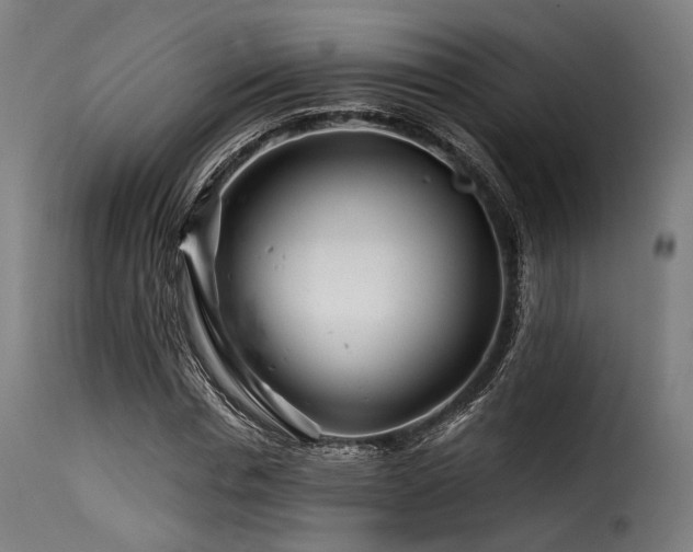 X0000116160826200911231403