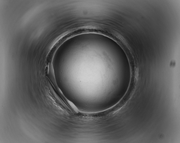 X0000116160829200911231403