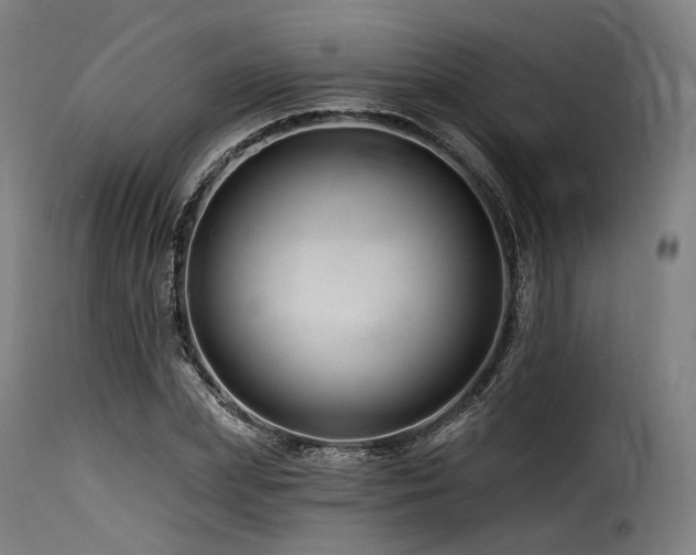 X0000116160831200911231403