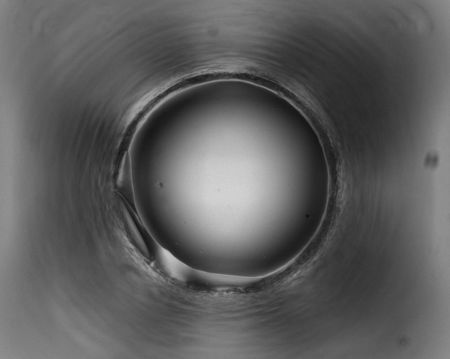 X0000116160834200911231403