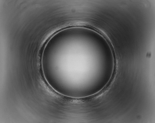 X0000116160835200911231403