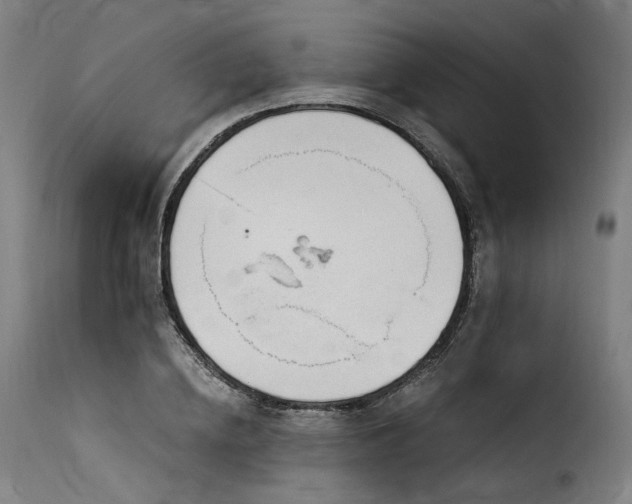X0000116160836200911231403