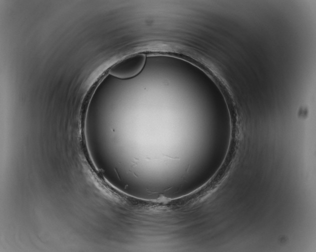 X0000116160837200911231403