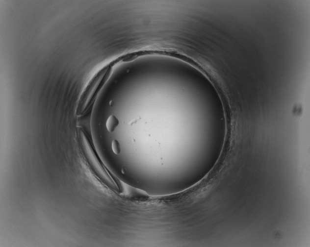 X0000116160838200911231403