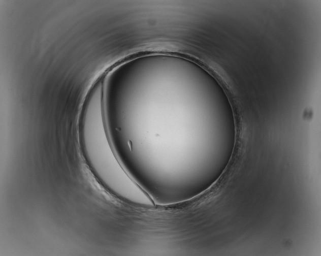 X0000116160840200911231403