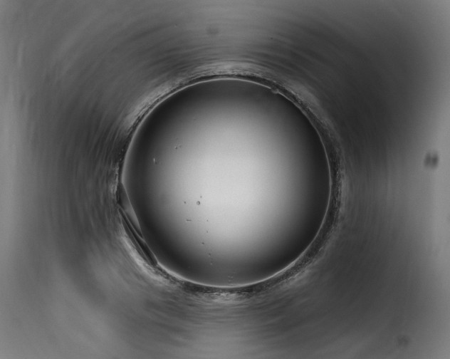 X0000116160841200911231403