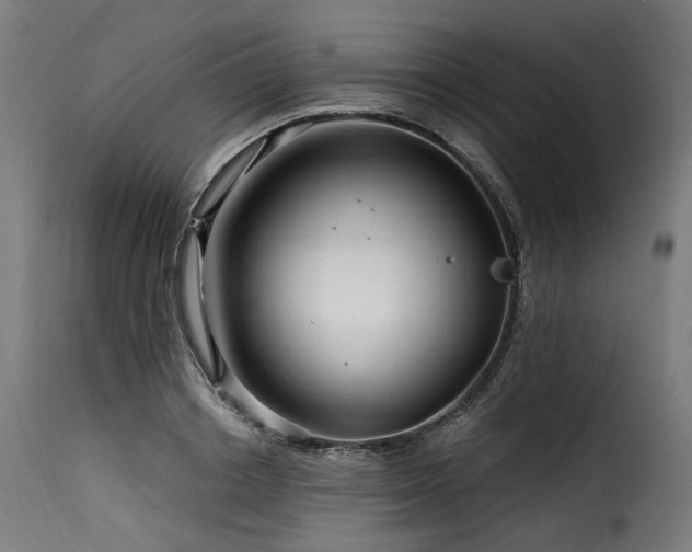 X0000116160842200911231403