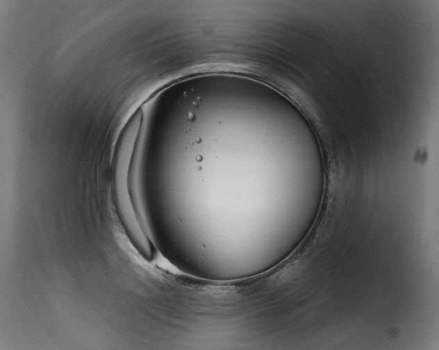 X0000116160844200911231403