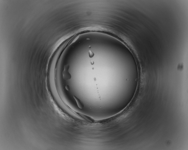 X0000116160845200911231403