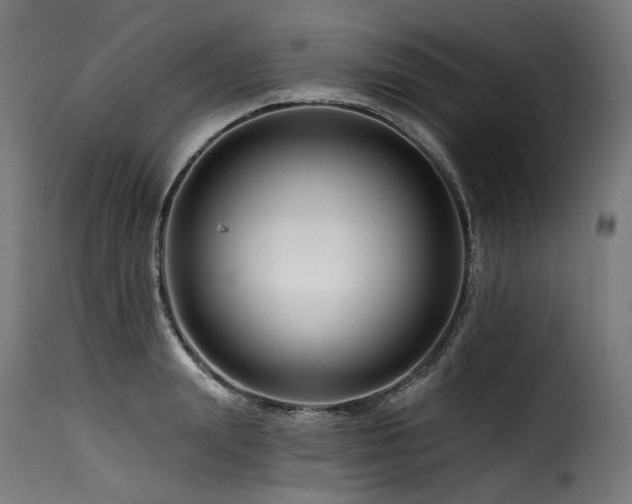 X0000116160847200911231403