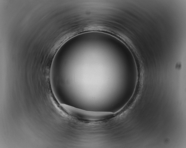X0000116160849200911231403