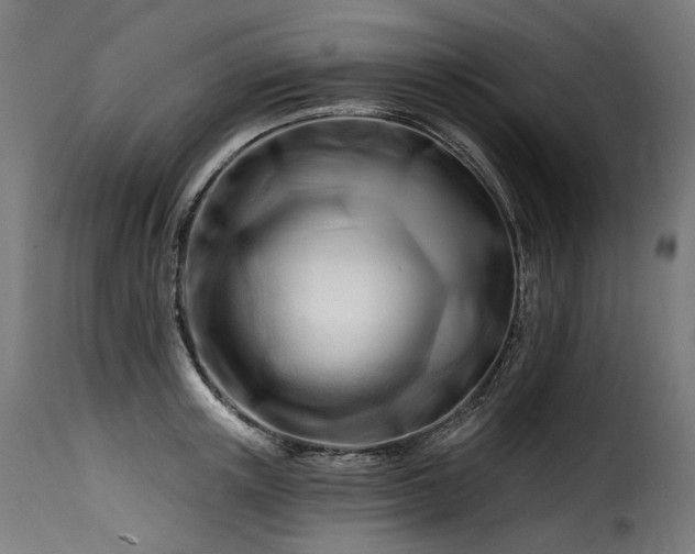 X0000116160851200911231403