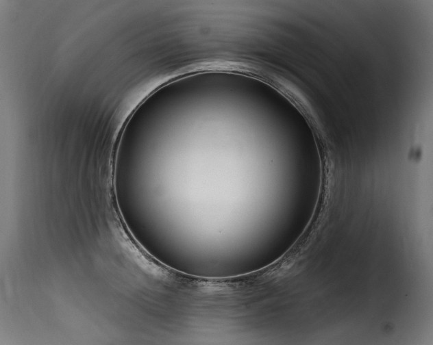 X0000116160852200911231403