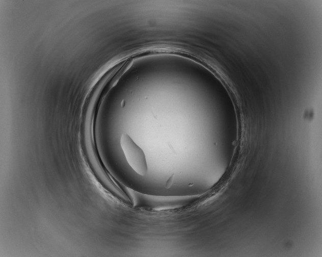 X0000116160853200911231403