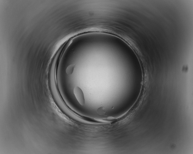 X0000116160854200911231403