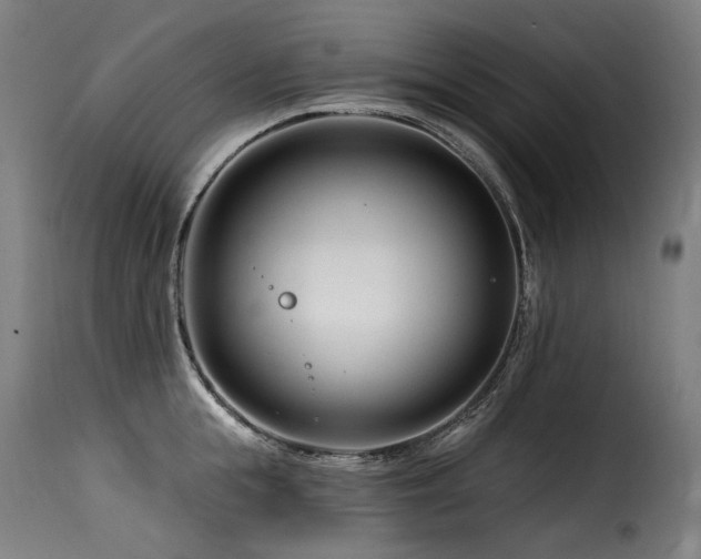 X0000116160855200911231403