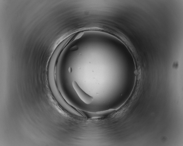 X0000116160858200911231403