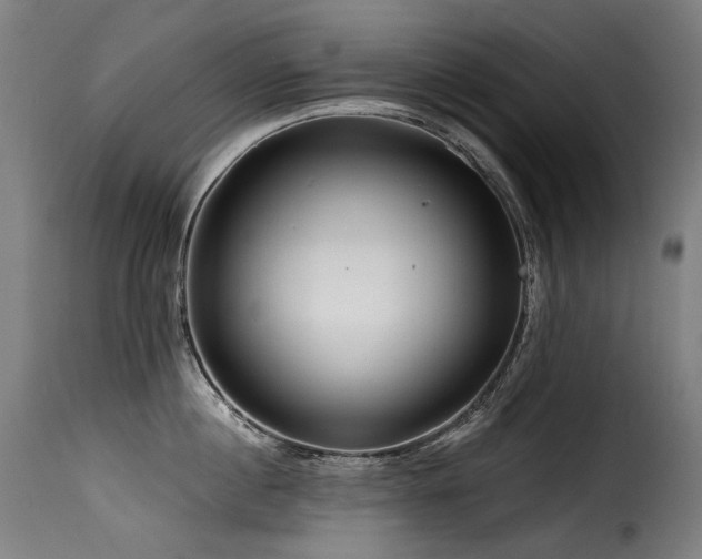 X0000116160860200911231403