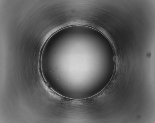 X0000116160861200911231403