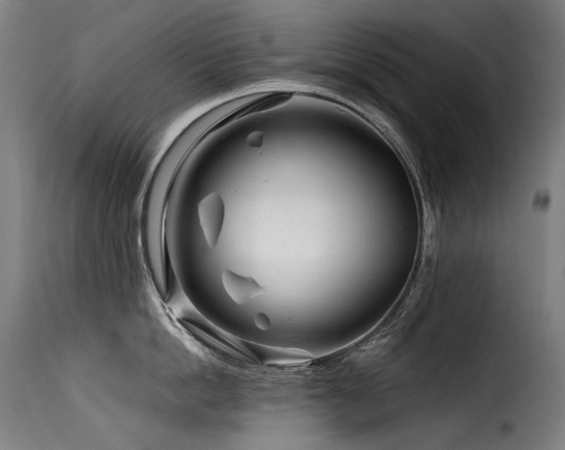 X0000116160862200911231403